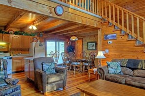 TV, fireplace, DVD player, books