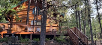 Log Cabin in the Woods