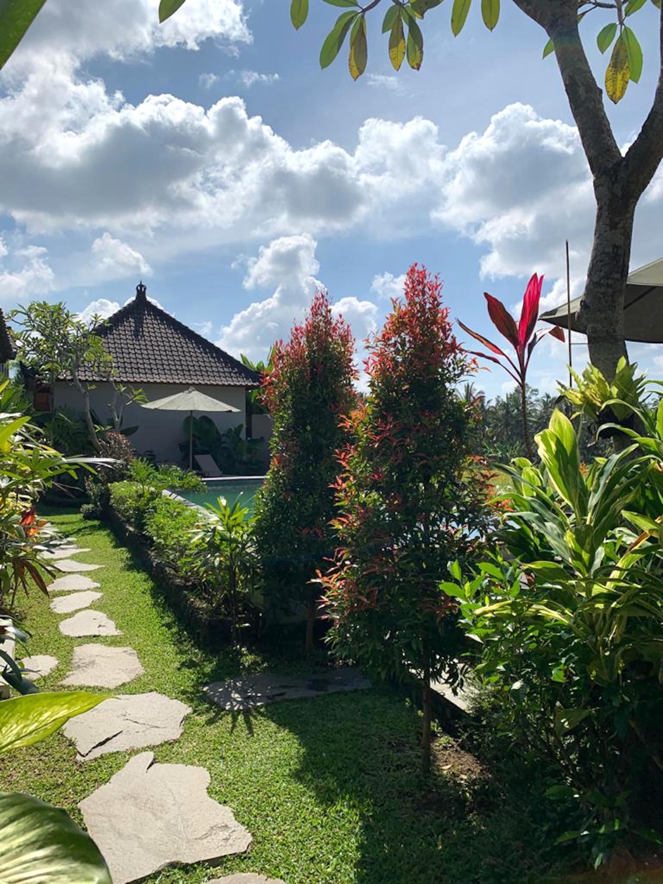 Piscina externa