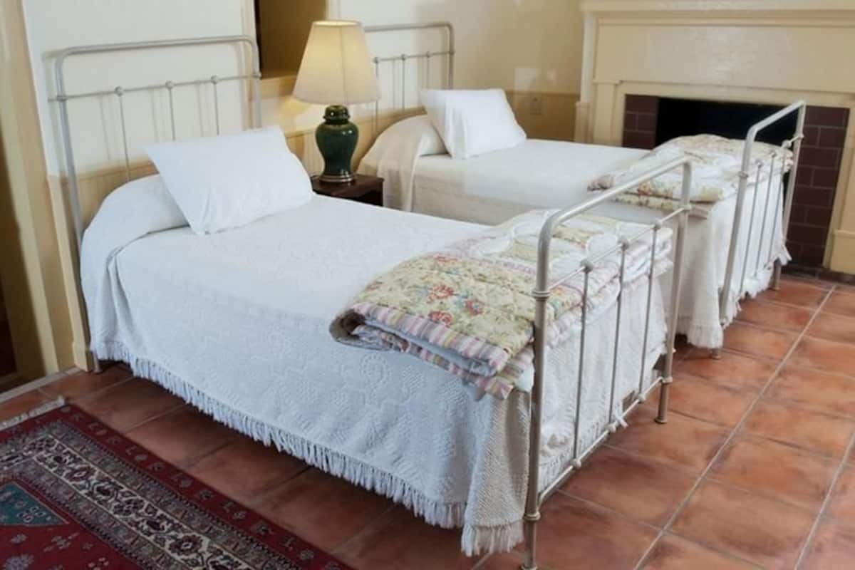 A room with two single beds, a red patterned rug, and a fireplace.