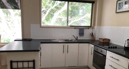 Kreuzfahrt im Surfers Paradise