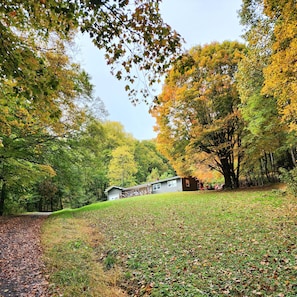 A cabin in a forest with a grassy path leading to it.