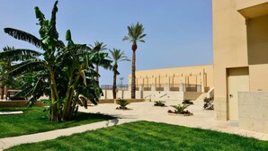 A courtyard with palm trees, a building with a beige facade, and a paved walkway. - HI Masada Hostel (Tamar)