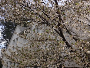 Boendeområde
