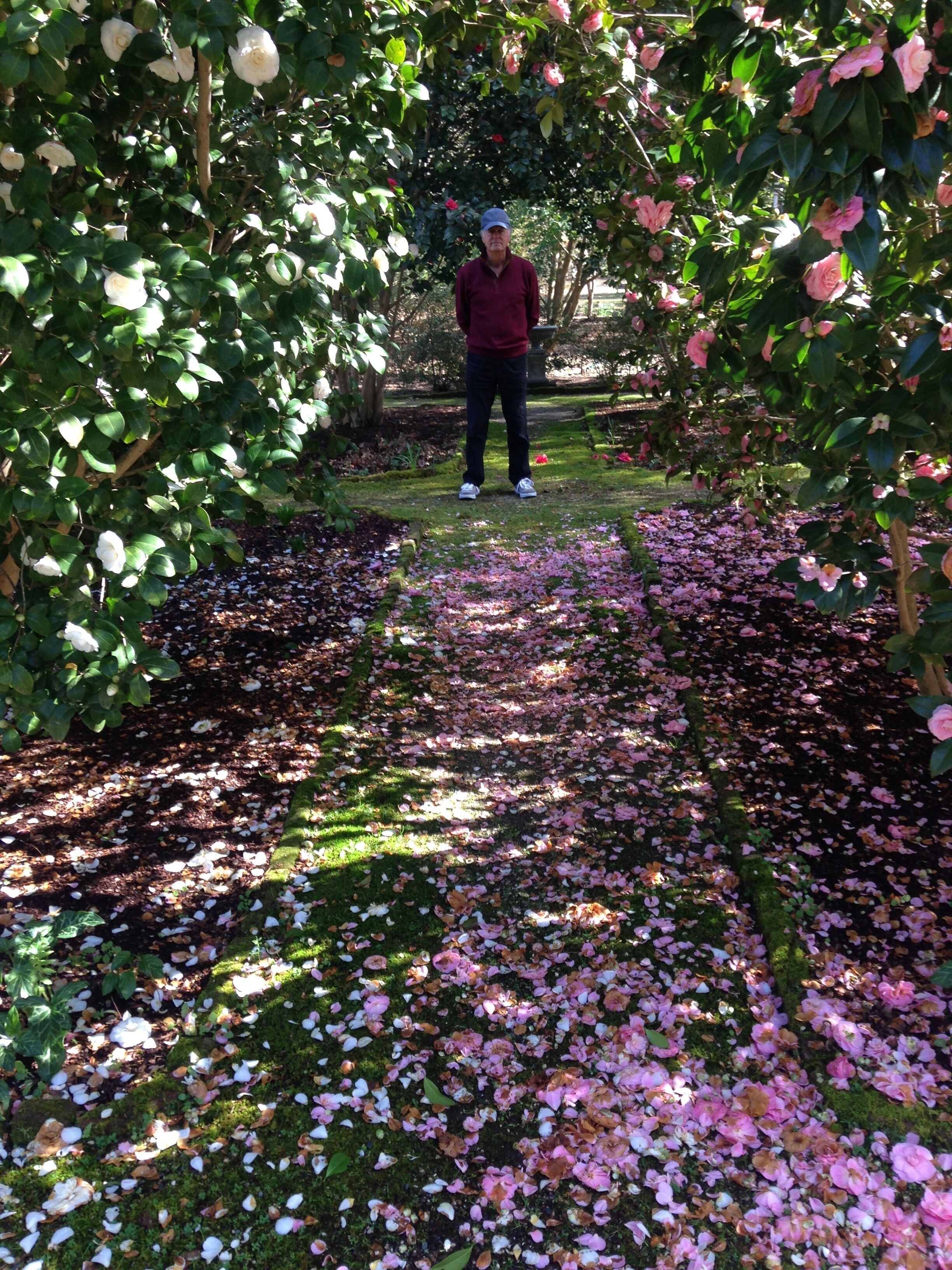 A garden pathway with a person standing in the center surrounded by flowering plants and a variety of fallen leaves.