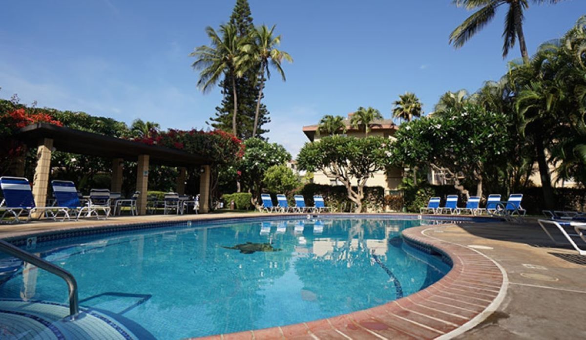 A swimming pool with lounge chairs and palm trees.