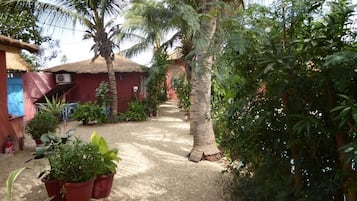 Vườn