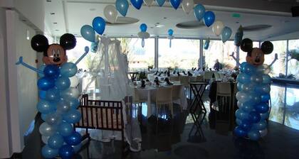 Agamim nofesh ashkelon LTD