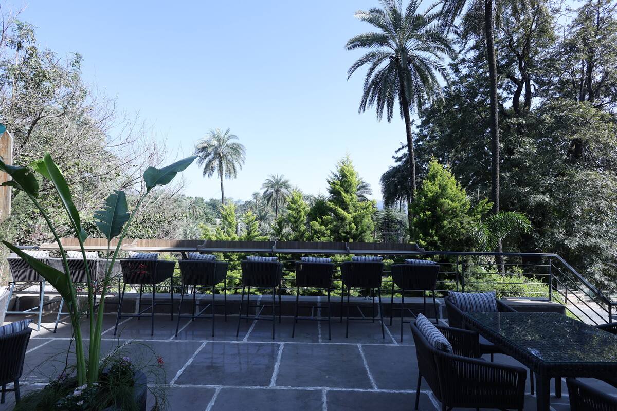 An outdoor patio with a seating area, surrounded by lush greenery and tall trees.