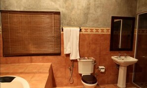 Habitación doble, 1 cama matrimonial, para no fumadores | Baño | Regadera y regadera tipo lluvia