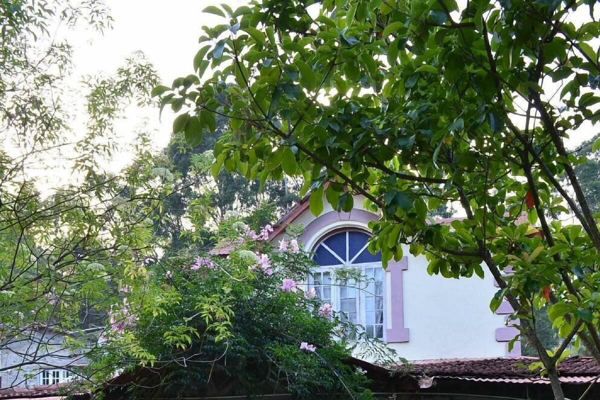 A stone house with a white door and steps leading to a porch, surrounded by lush greenery and flowering plants.