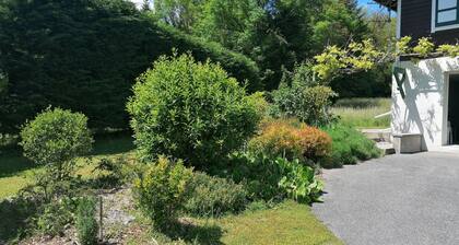 For spa guests or tourists rented cottage in the country