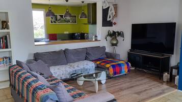 TV, fireplace, DVD player, books