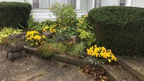 Et hus med have, gule blomster og en træstol.