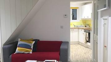 Smart TV, fireplace, books