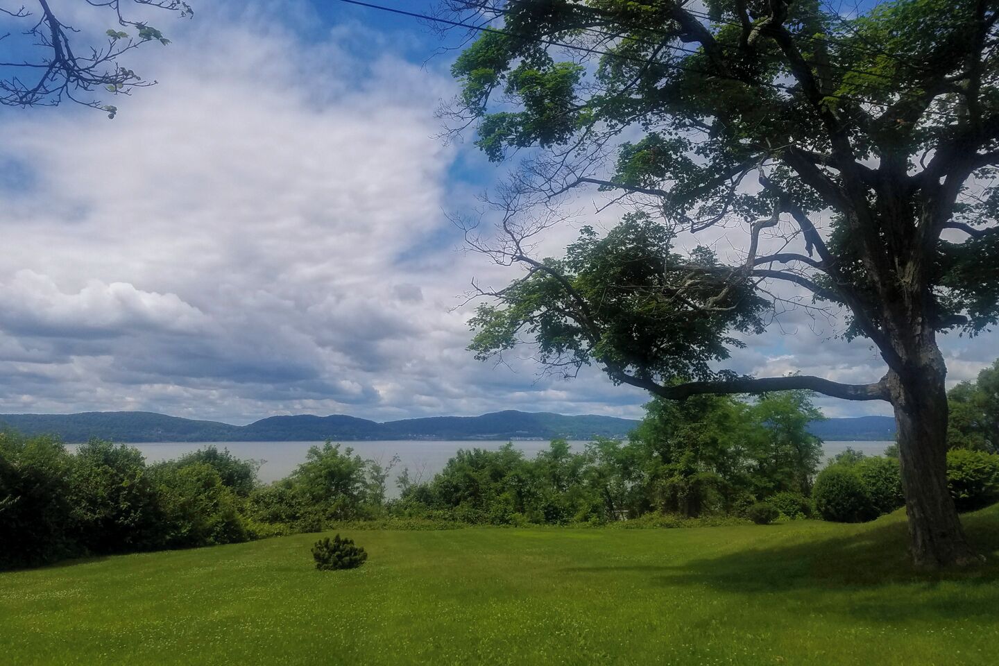 A grassy landscape with a large tree and a view of distant hills and a body of water.
