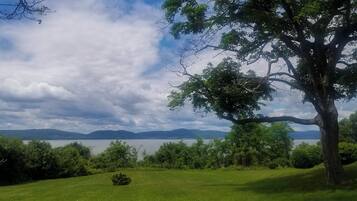 A grassy landscape with a large tree and a view of distant hills and a body of water.