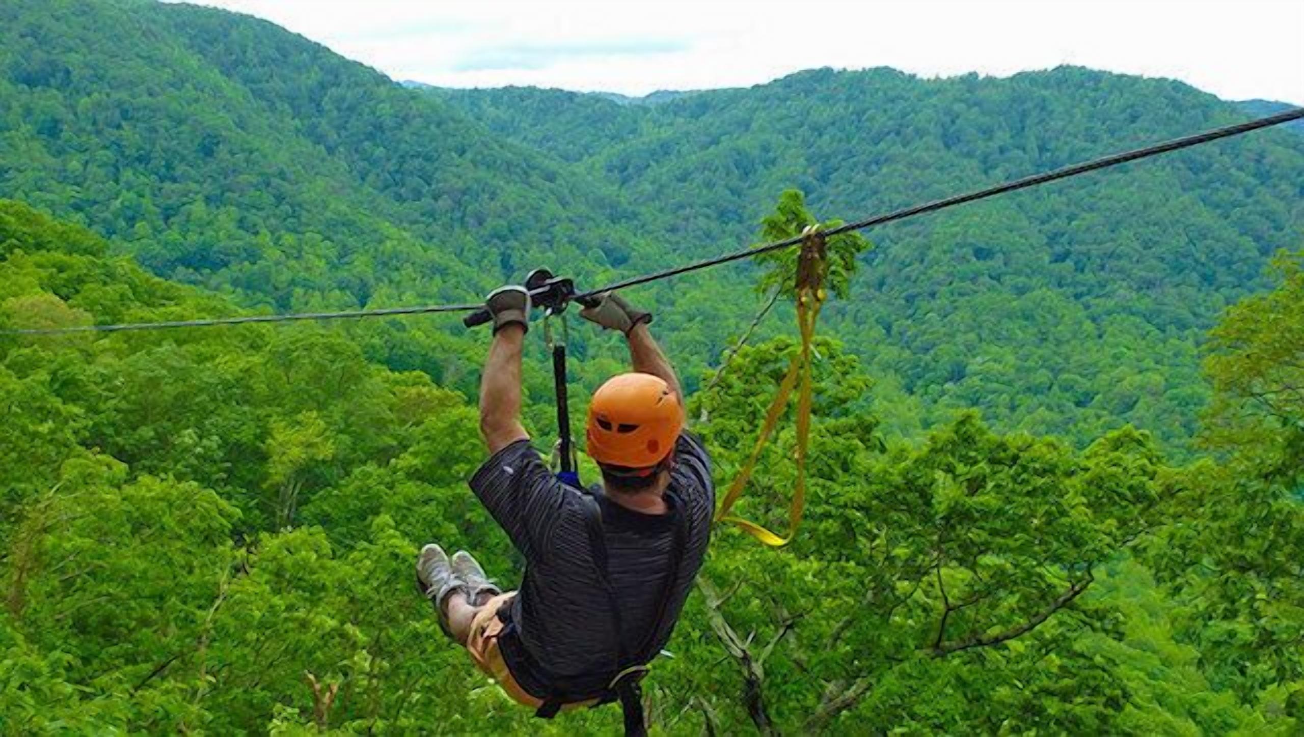 A person zip-lining over a lush green forest with mountains in the background.