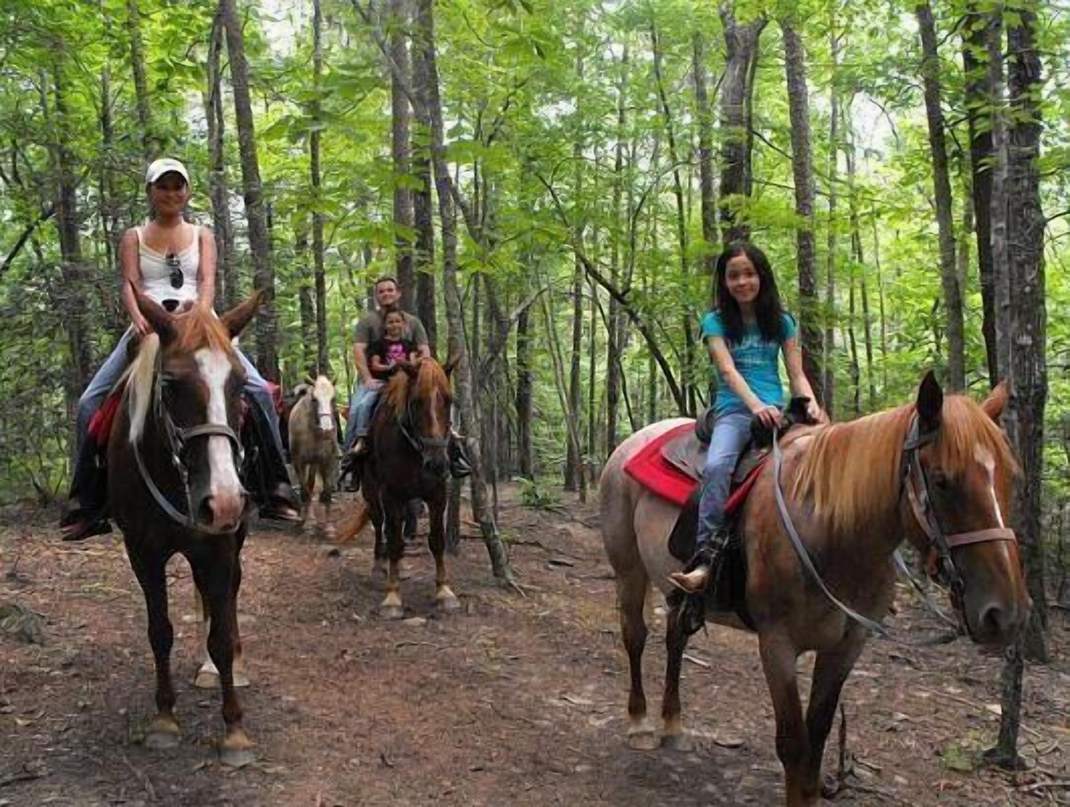 A group of people riding horses on a forest trail.