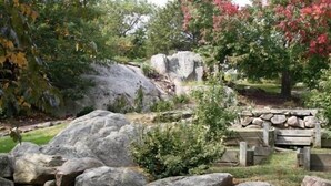 Un jardin avec de gros rochers, un banc en bois et un arbre aux feuilles rouges.