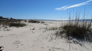 A sandy beach with dunes and sparse vegetation. - Salty dog on the rocks (Port St Joe)