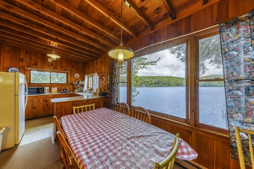 Dog-friendly cabin with lakefront location, 20' dock, smart TV
