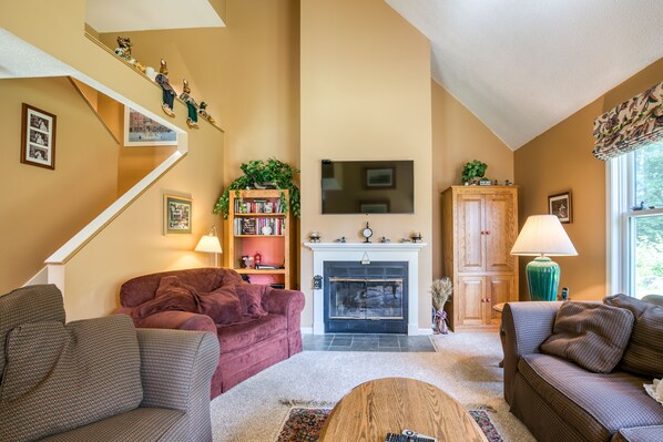 Een televisie, een open haard, een dvd-speler en boeken