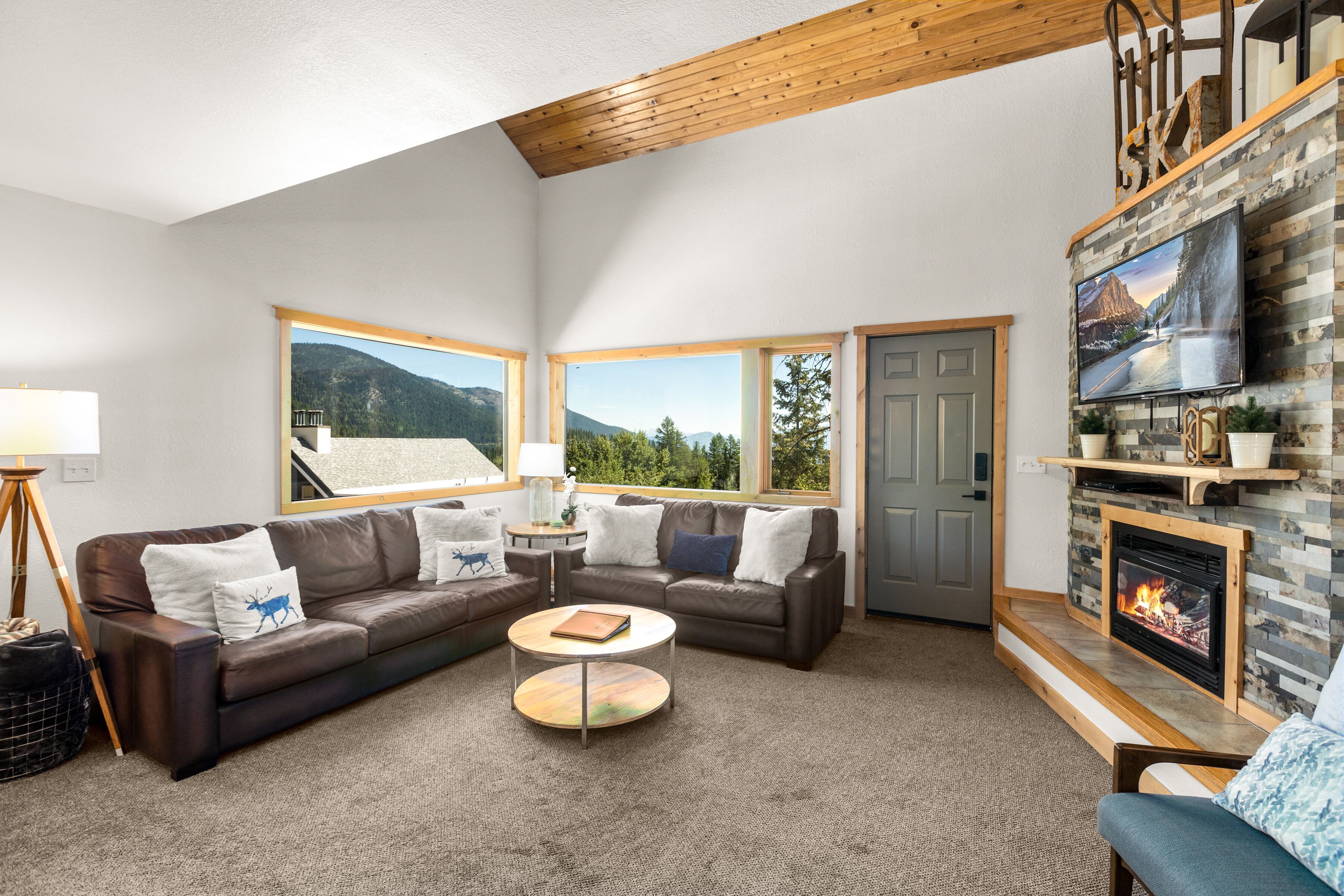 TV, fireplace, video games, DVD player