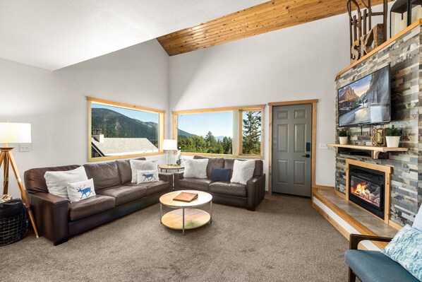 TV, fireplace, video games, DVD player