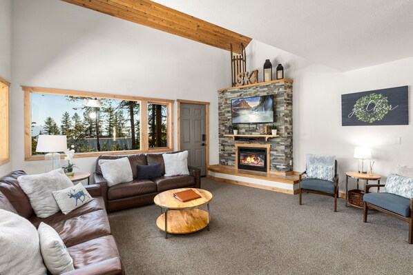 Télévision, cheminée, jeux vidéo, lecteur de DVD