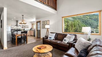 TV, fireplace, video games, DVD player