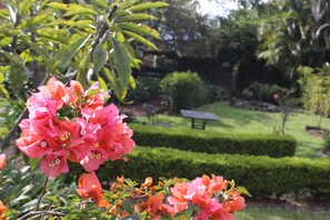 Garden - Hotel Valle Místico (Tepoztlán)