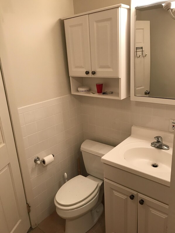 Bottom level bathroom 
