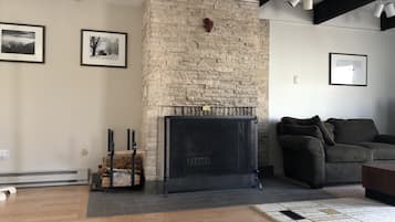 智能电视、壁炉、DVD 播放器、立体声音响