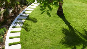 Área da propriedade