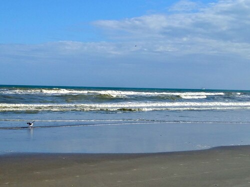 NEW COMPLETE REMODEL, MELBOURNE HARBOUR VIEWS