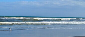 Utrolig utsikt over Melbourne havn!