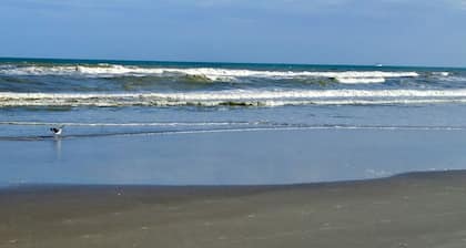 NEW COMPLETE REMODEL, MELBOURNE HARBOUR VIEWS