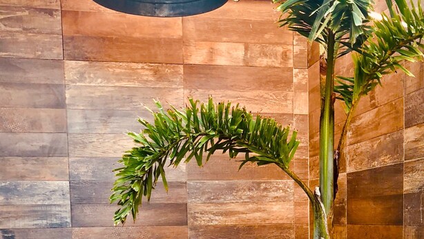 Zona de ducha con suelo y paredes de madera, una lámpara colgante, una planta en maceta y una pequeña mesa redonda con un farol.
