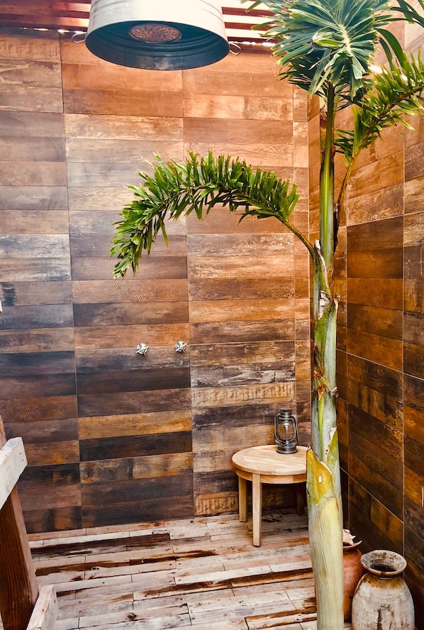 Interior - Agave Rosa Casa at Spa Buena Vista (Buena Vista)