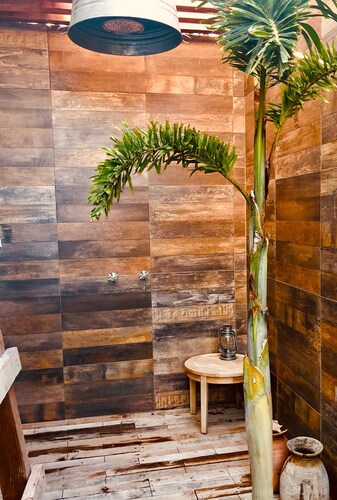 Agave Rosa Casa at Spa Buena Vista