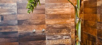 Agave Rosa Casa à Buena Vista