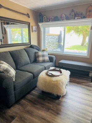 Smart TV, DVD player, books, video library