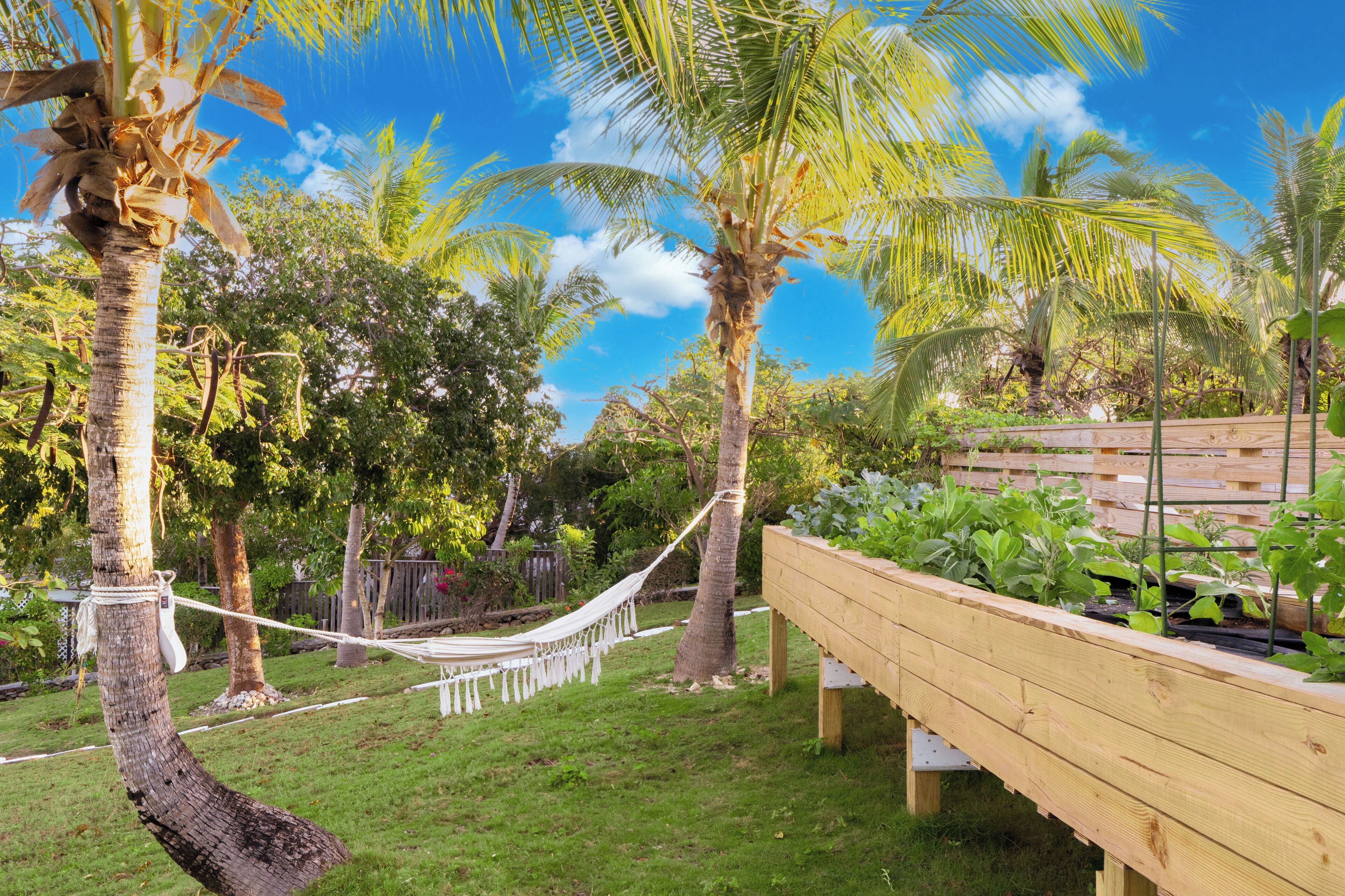 A hammock between palm trees, a wooden bench, and a raised garden bed with plants.
