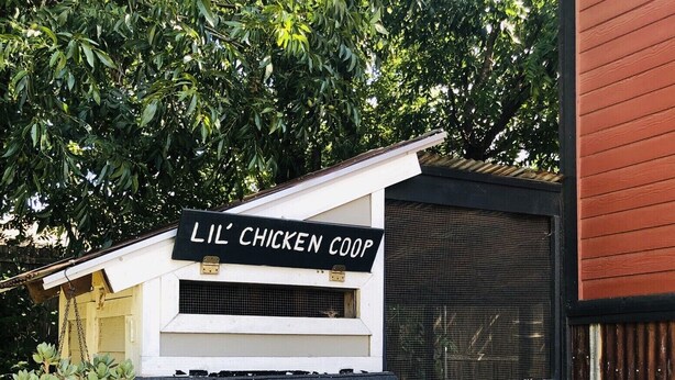 A small chicken coop with a sign reading "LIL' CHICKEN COOP" and a stone pathway leading to it.
