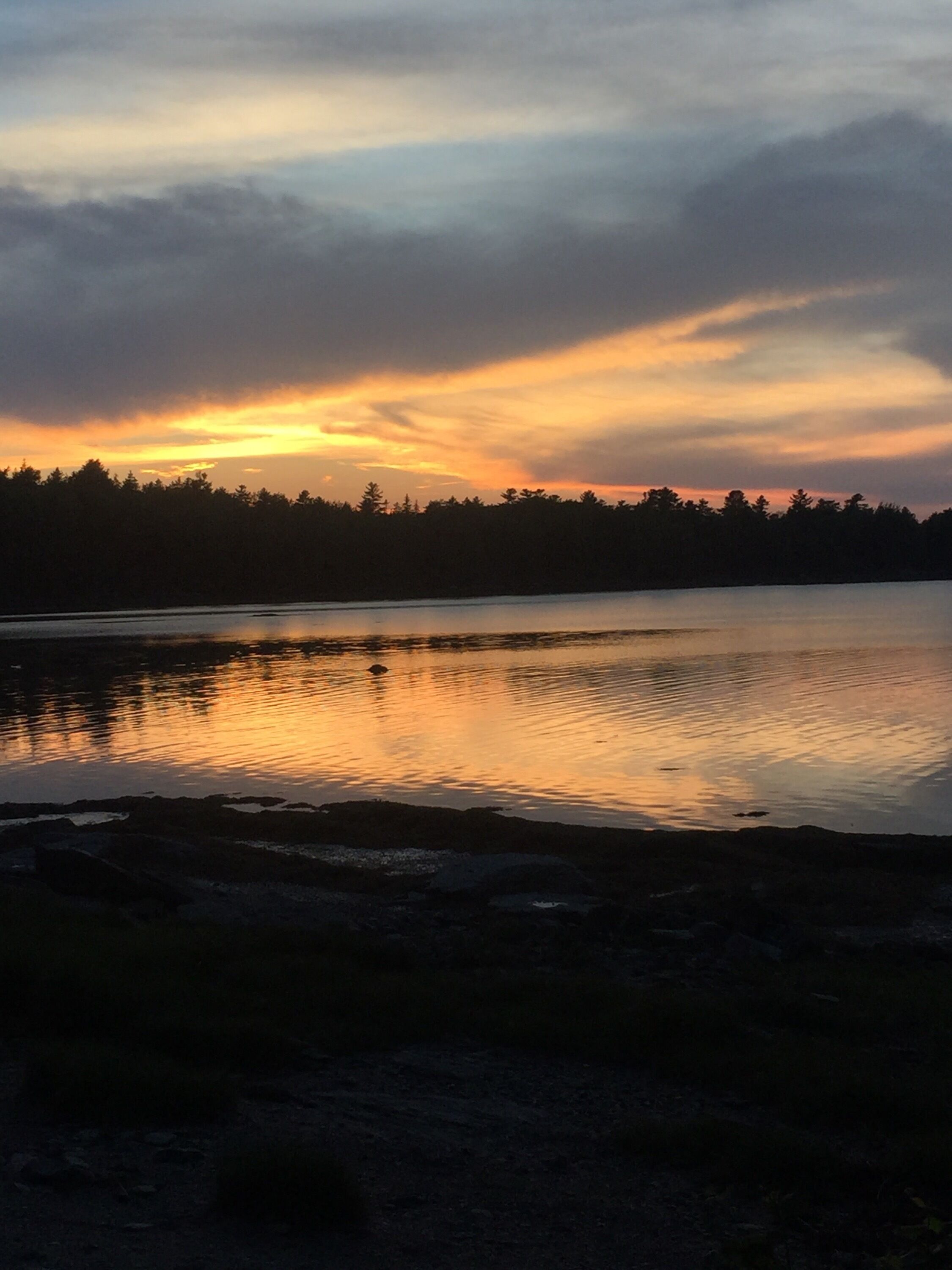 Camastros y toallas de playa 