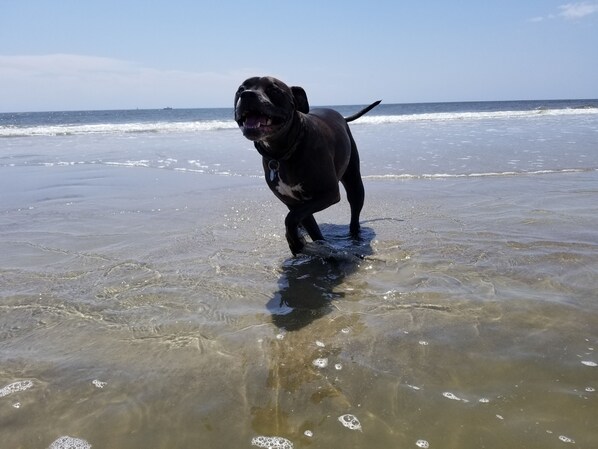 På stranden och solstolar
