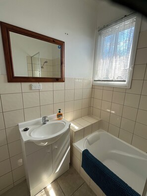 Combined shower/bathtub, hair dryer, toilet paper