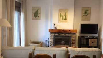 TV, fireplace, books