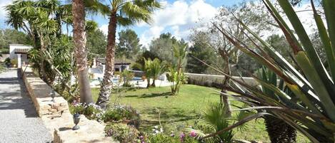 A garden with palm trees, a stone pathway, and a lawn with purple flowers.